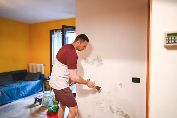 Best Emergency Mold Removal  in Ellenton, FL